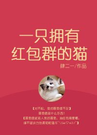 A Cat with a Red Envelope Group